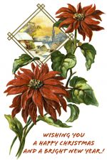 Free Images of Christmas 10 - Poinsettia and Scene