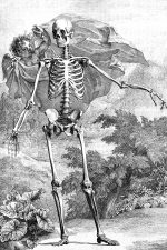 Drawings of a Skeleton 10