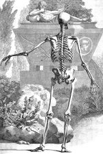 Drawings of a Skeleton 12