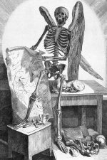 Drawings of a Skeleton 14