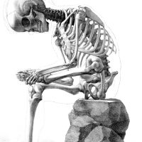 Drawings of a Skeleton