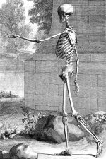Drawings of a Skeleton 6