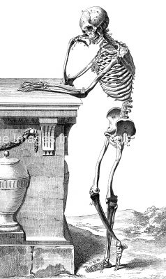 Drawings of a Skeleton 3