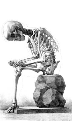 Drawings of a Skeleton 5