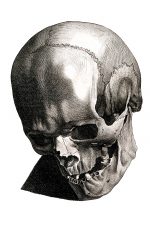 Drawings Of A Skull 5