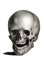 Drawings Of A Skull 6