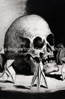 Drawings Of A Skull 14
