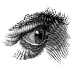 Drawings of the Eye 1