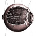 The Anatomy Of The Eye 15