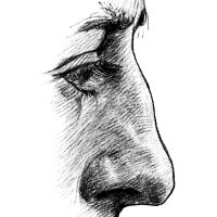 Drawings of the Nose