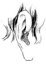 Drawings Of Ears 6