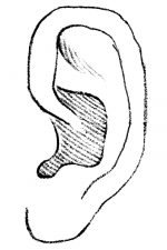 Drawings Of Ears 9