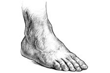 Drawings Of The Foot 5