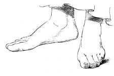 Drawings Of The Foot 9