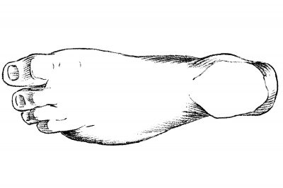 Drawings Of The Foot 13