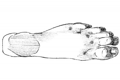 Drawings Of The Foot 14
