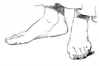 Drawings Of The Foot 9