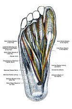 Foot Diagrams 4