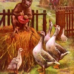 Funny Monkey Pictures 3 - Monkey Feeding Geese