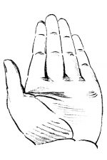 Drawings Of Hands 14