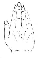 Drawings Of Hands 7