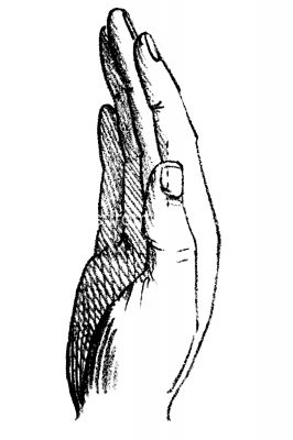 Drawings Of Hands 9