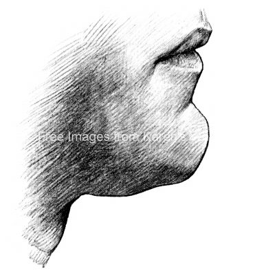 Drawings Of Mouths 6