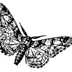 Insects Clip Art 6 - Flying Moth