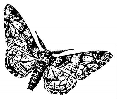 Insects Clip Art 6 - Flying Moth