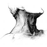 Neck Drawings 1