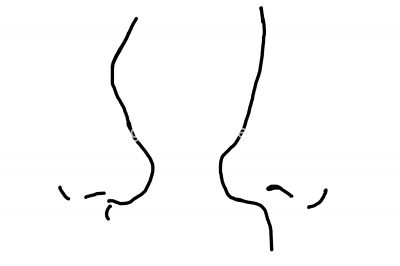 The Parts Of The Face 31