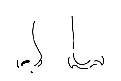 The Parts Of The Face 32