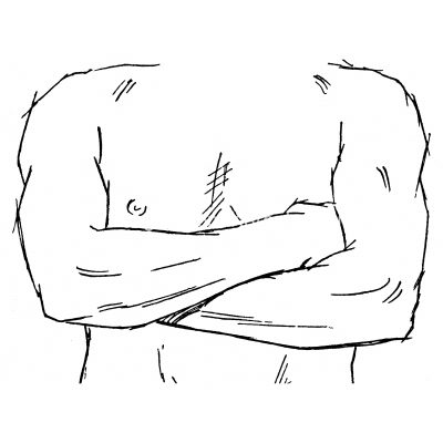 Drawing Of Arm Muscles 17