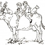 Pictures of Farm Animals 6 - A Ride on a Cow