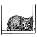 Cartoon Drawings Of Cats 16