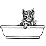 Cartoon Drawings Of Cats 9