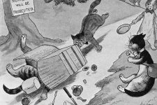 Images Of Cats Cartoon 1