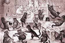 Images Of Cats Cartoon 11