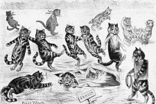 Images Of Cats Cartoon 13