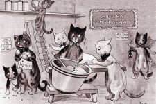 Images Of Cats Cartoon 7