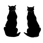 Black Cat Cartoons 1