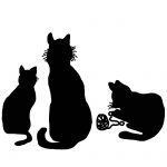 Black Cat Cartoons 11