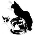 Black Cat Cartoons 3