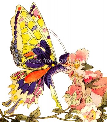 Butterfly Fairies 1 - Two Fairies Kissing