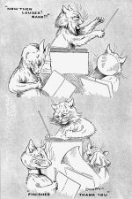 Cat Cartoon Images 12