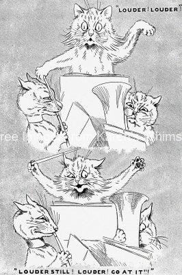 Cat Cartoon Images 11