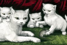 Drawings Of Kittens 1