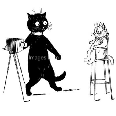 Drawings Of Cute Cats 3