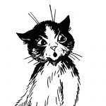 Drawings Of Cat Faces 10