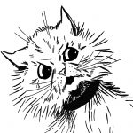 Drawings Of Cat Faces 11